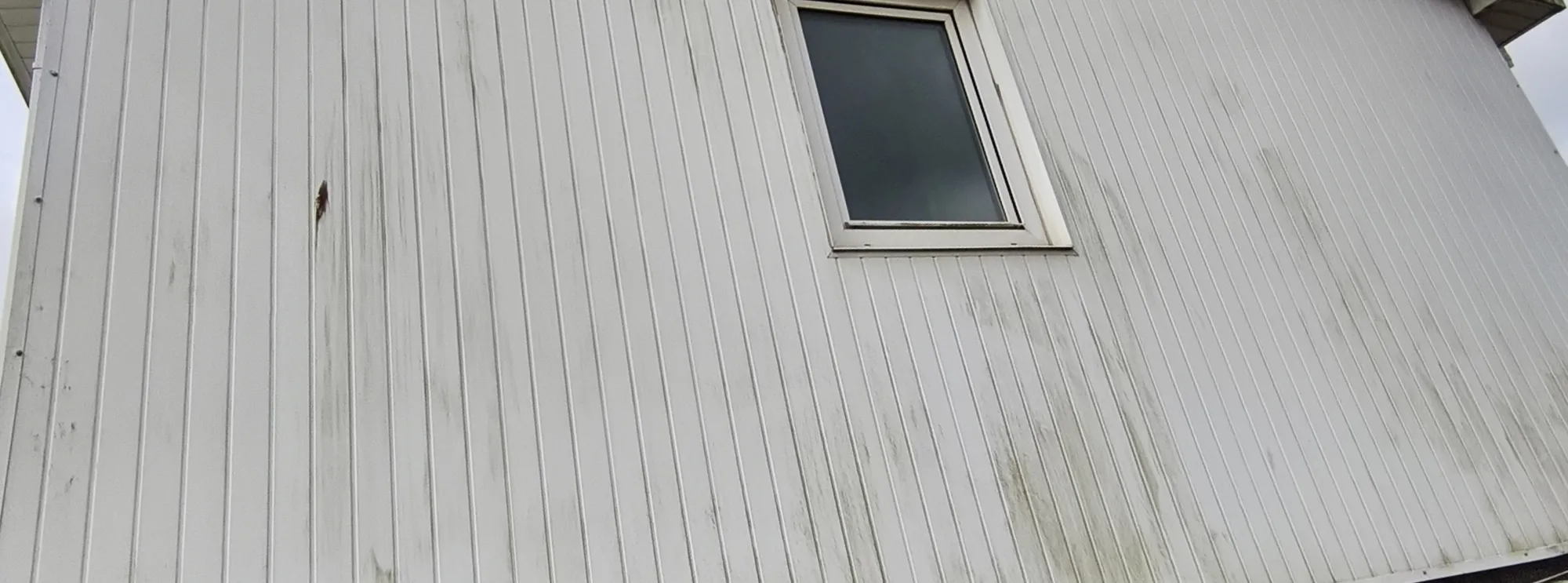 Before exterior softwashing: house render with weather staining and organic buildup